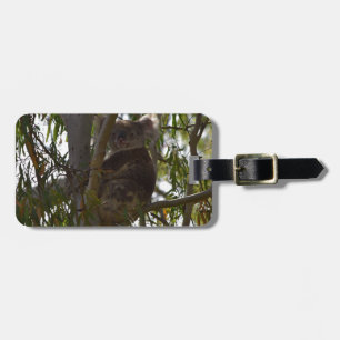 KOALA SITTING IN TREE IN THE WILD RURAL AUSTRALIA LUGGAGE TAG