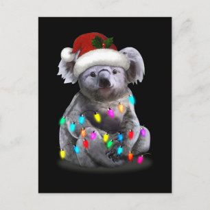 Koala Sitting With Christmas Lights Xmas Season Postcard