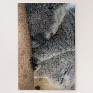 koala sleep jigsaw puzzle