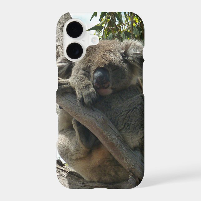 Koala - Sleeping  (Back)