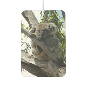 Koala - Sleeping  Car Air Freshener
