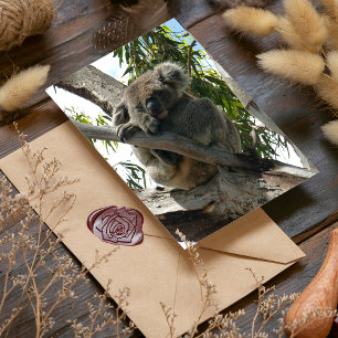 Koala - Sleeping Foil Greeting Card