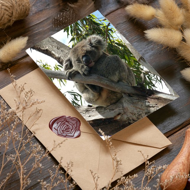 Koala - Sleeping  Foil Greeting Card (Creator Uploaded)