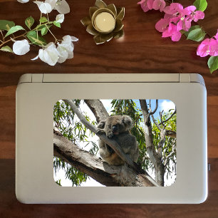 Koala - Sleeping Gift Tags