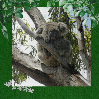 Koala - Sleeping Jigsaw Puzzle