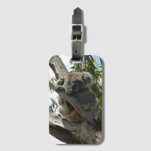 Koala - Sleeping  Luggage Tag