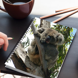 Koala - Sleeping  Notebook