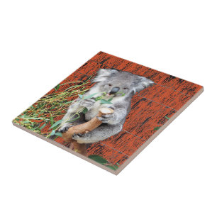 Koala Snack Time Ceramic Tile