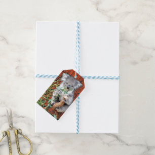 Koala Snack Time Gift Tag