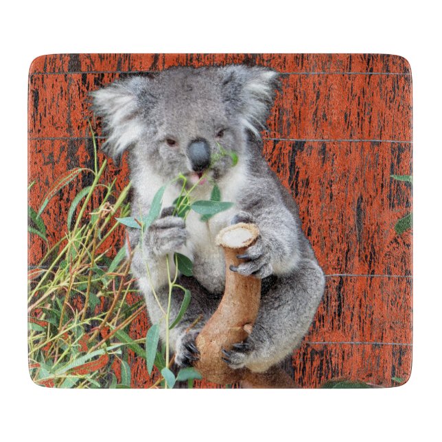 Koala Snack Time Glass Chopping Board (Front)