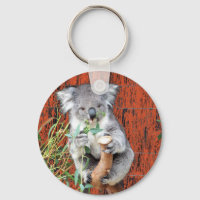 Koala Snack Time