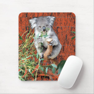 Koala Snack Time Mouse Pad
