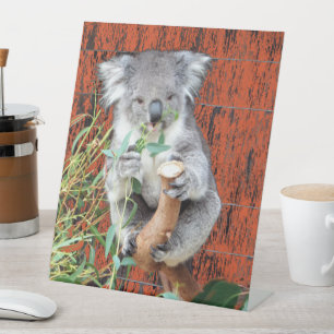 Koala Snack Time Pedestal Sign