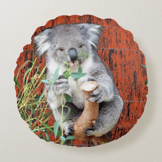 Koala Snack Time Round Cushion (Front)