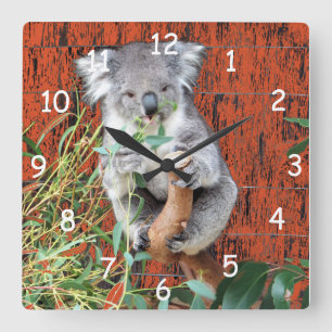 Koala Snack Time Square Wall Clock