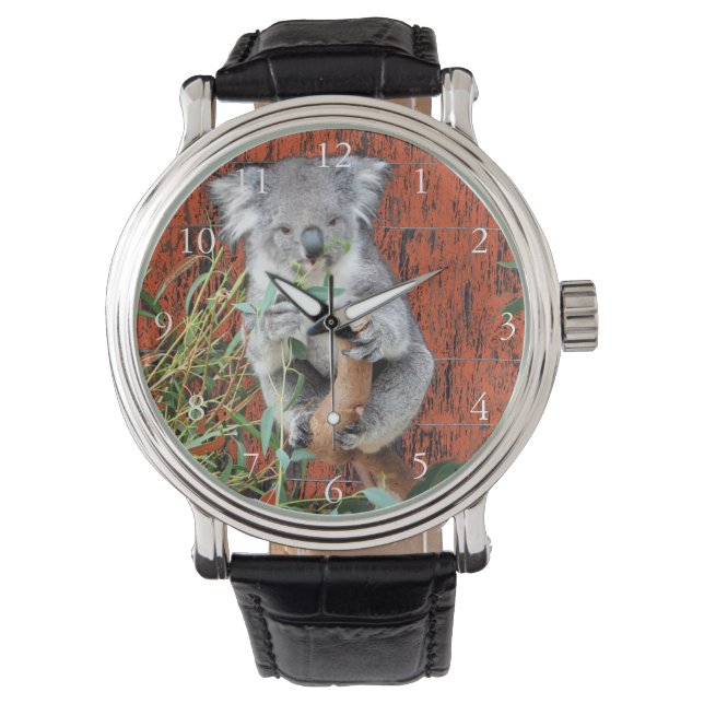 Koala Snack Time Watch (Front)