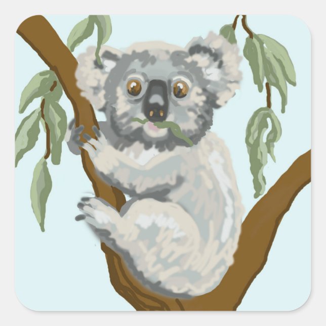 Koala Square Sticker (Front)
