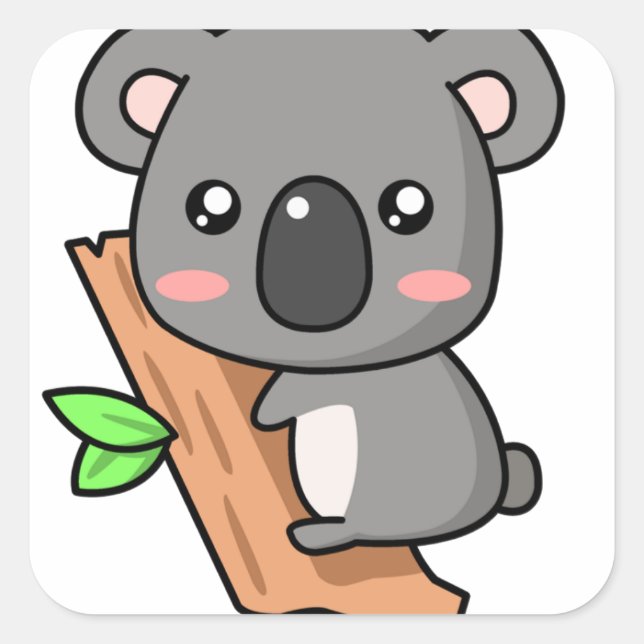 Koala square stickers (Front)