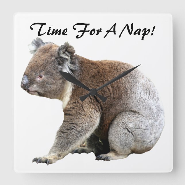 Koala Square Wall Clock (Front)
