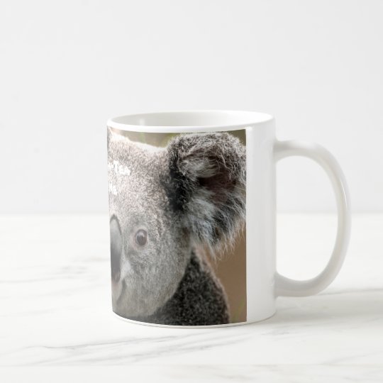 Koala tea time