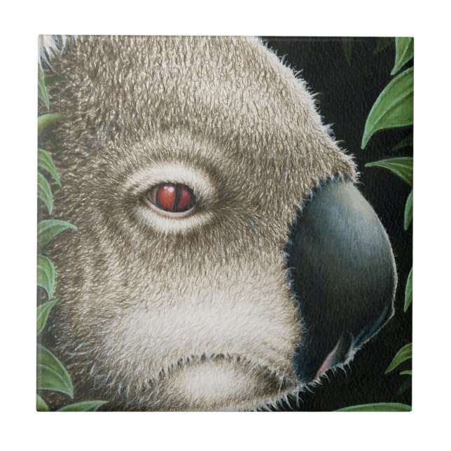 Koala Tile (Front)