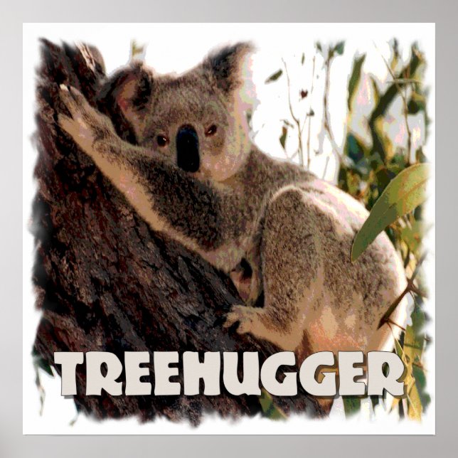 koala treehugger poster (Front)