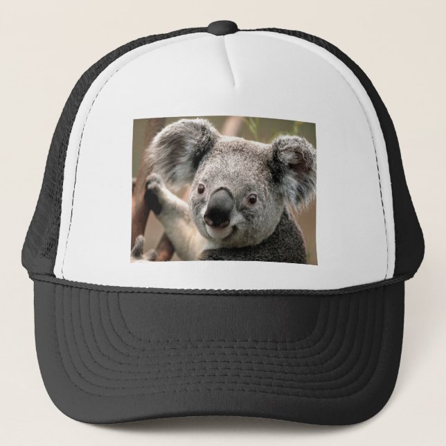 Koala Trucker Hat (Front)