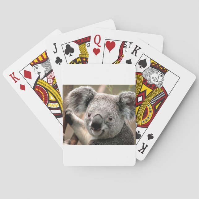 koala un animal unico playing cards (Back)