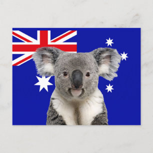 Koala with Australian Flag Background Postcard