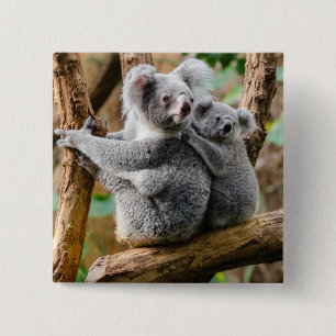 Koala with Baby in a Tree in Australia 15 Cm Square Badge