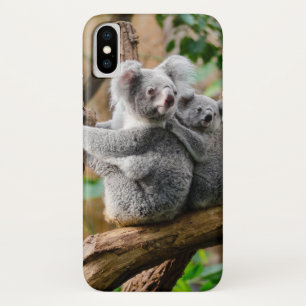 Koala with Baby in a Tree in Australia iPhone X Case
