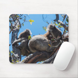 Koala with Baby Joey in a Tree, Australia Wildlife Mouse Mat