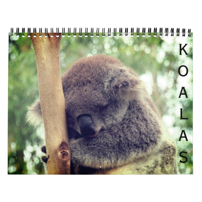 koalas 2026 calendar (Cover)