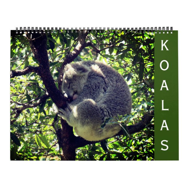 koalas 2027 large calendar (Cover)