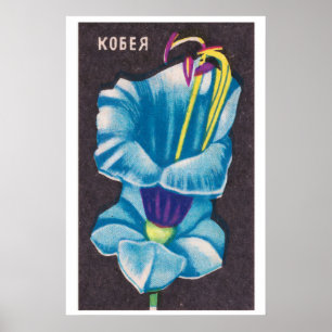 Kobeya Flower - Matchbox Print - Aesthetic Wall