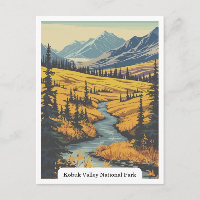 Kobuk Valley National Park, Alaska USA Postcard (Front)