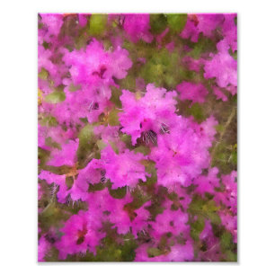 KODAK Print Purple Rhododendron