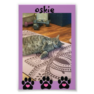 Kodak Professional Photo Paper (Satin)