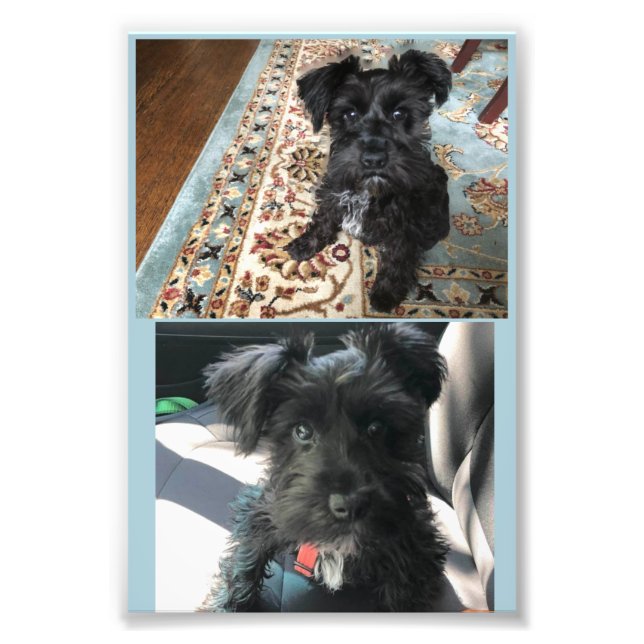 Kodak Professional Photo Paper (Satin) Print (Front)