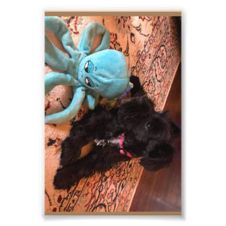 Kodak Professional Photo Paper (Satin) Print