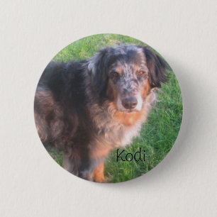 Kodi Dog 6 Cm Round Badge