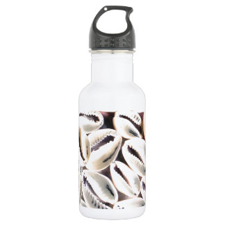 Kodi Shells 532 Ml Water Bottle