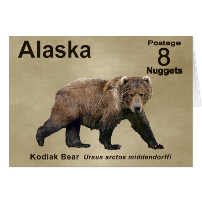 Kodiak Bear (Front Horizontal)