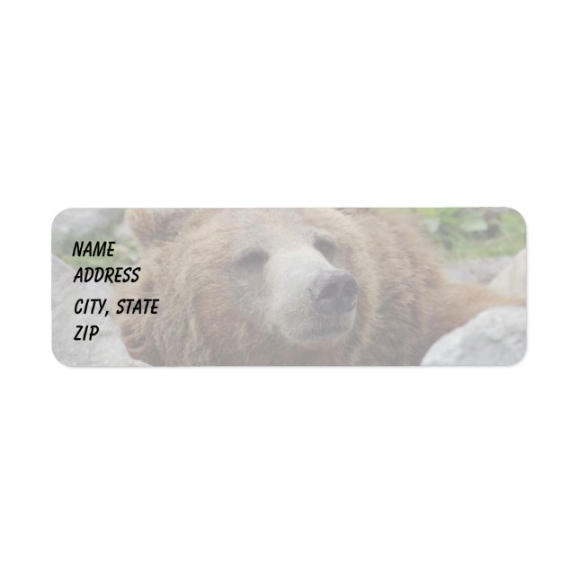 Kodiak Bear (Front)