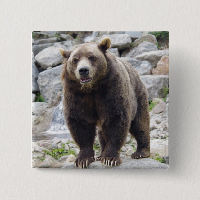 Kodiak bear 15 cm square badge (Front)