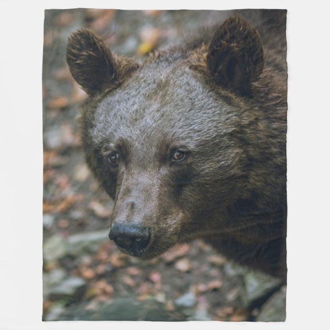 KODIAK BEAR 2 FLEECE BLANKET (Front)