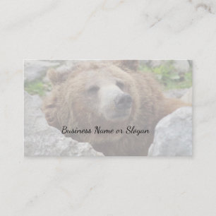 Kodiak bear business card