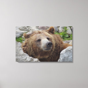 Kodiak Bear Canvas Print