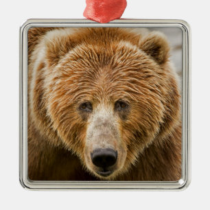 Kodiak Bear Face - Wild Alaska Metal Tree Decoration