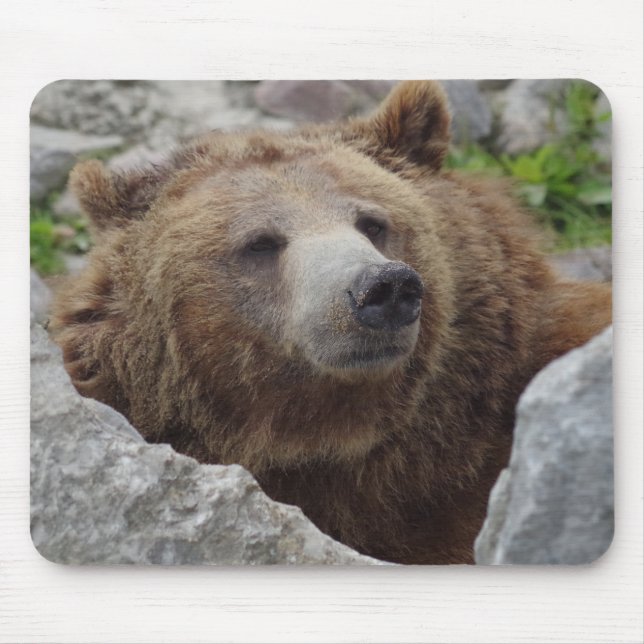 Kodiak Bear Mouse Mat (Front)